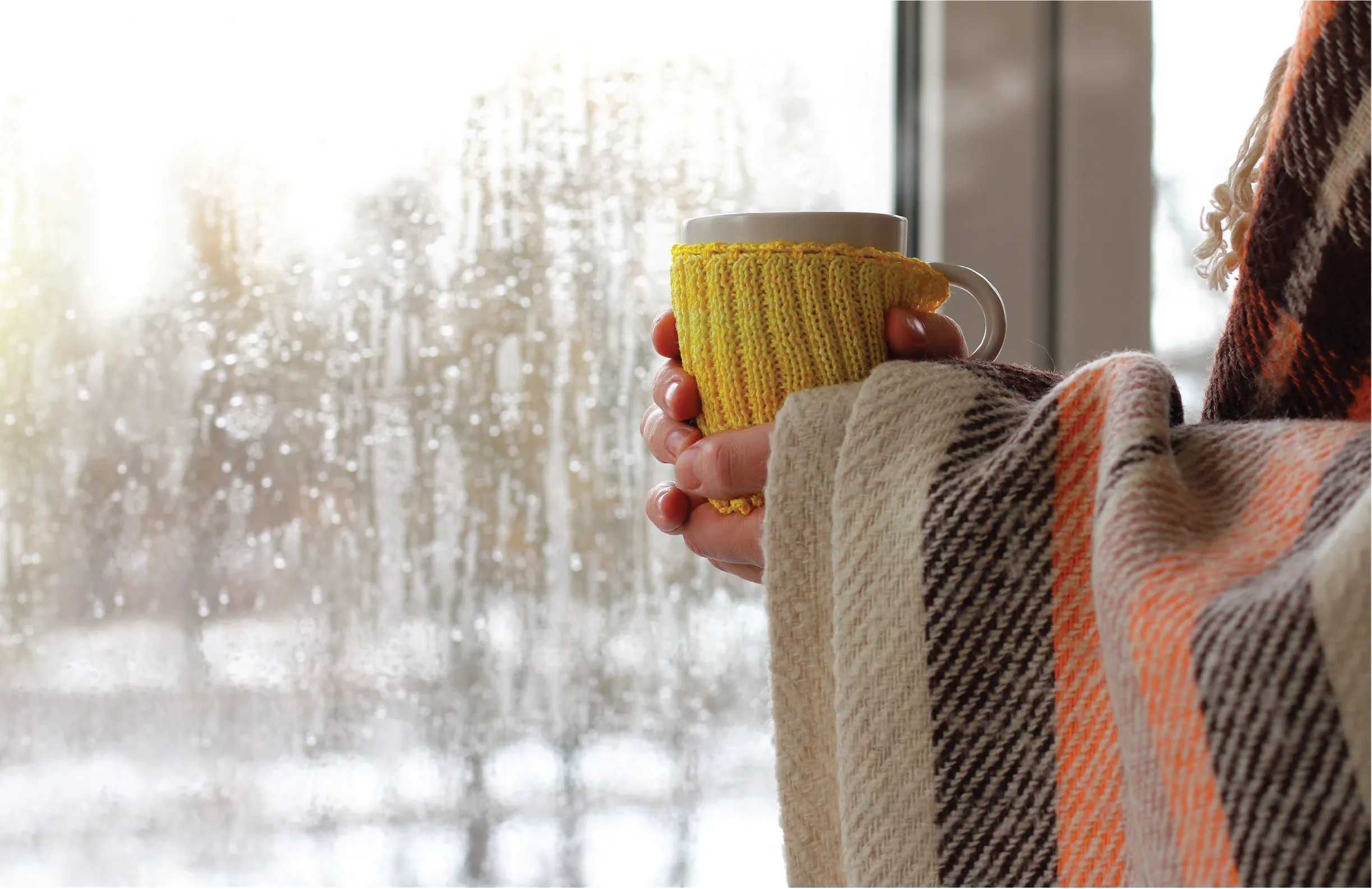 Woman holding mug by a window.